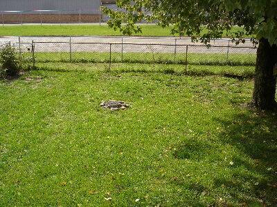 Building Photo - 541 Griffith Ave SW