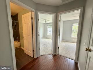 Building Photo - 11539 Bertram St