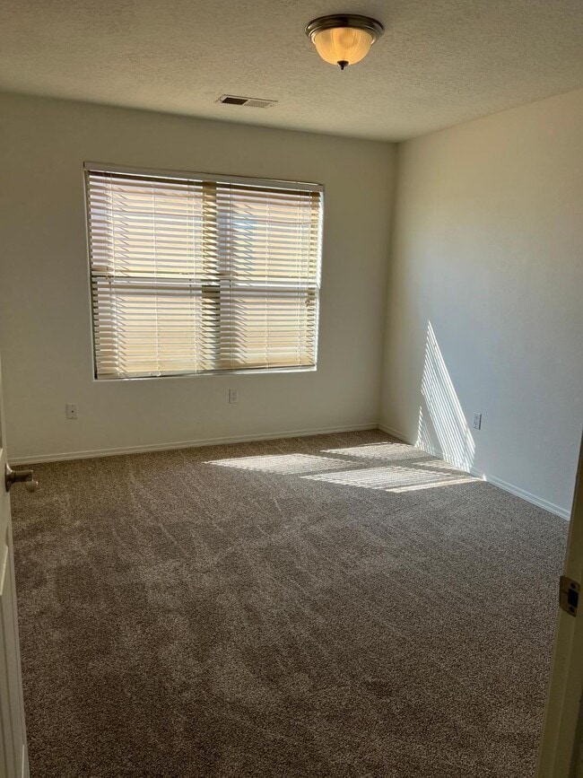 Building Photo - 828 Loma Pinon Loop