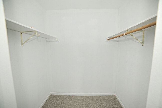 Building Photo - 208 Ivy Ct