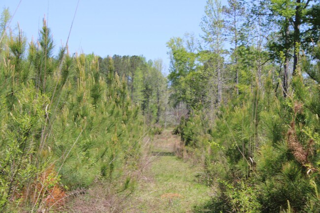 Building Photo - 818 W Grantville Rd