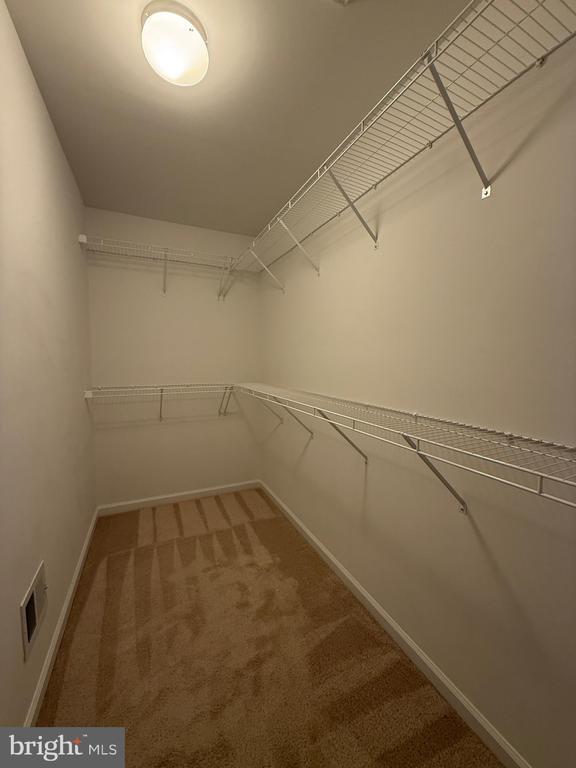 Building Photo - 2401 Copa Ct