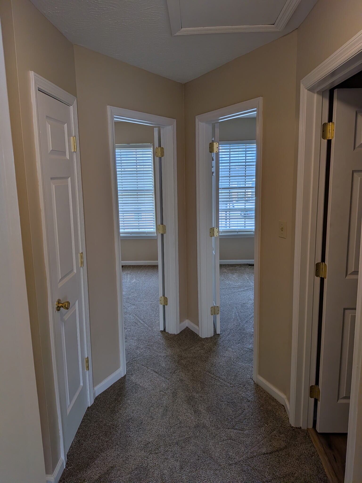 Building Photo - 907 Weeping Willow Dr