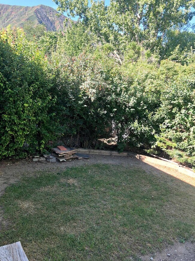 Building Photo - 1BD/1BA APARTMENT WITH PRIVATE BACK YARD!!