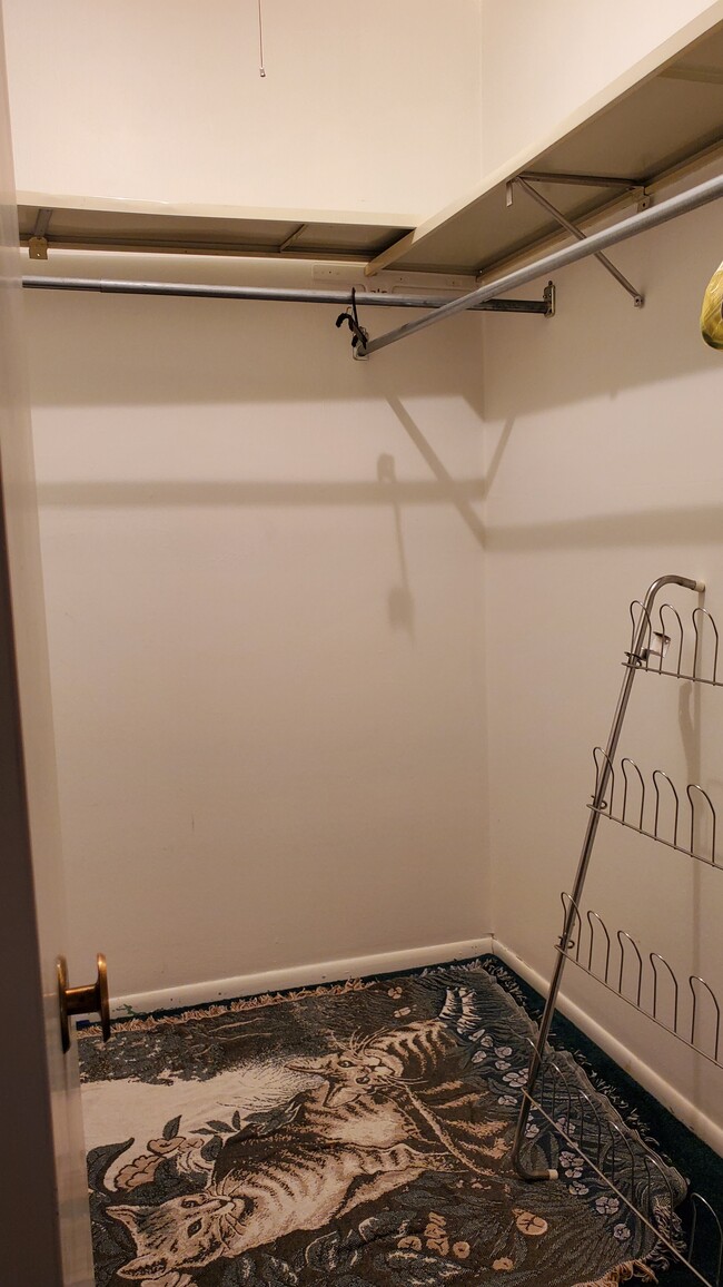 Master bedroom walk-in closet - 315 Solon Rd