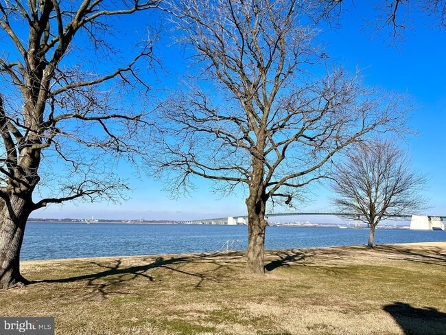 Building Photo - 289 N River Dr