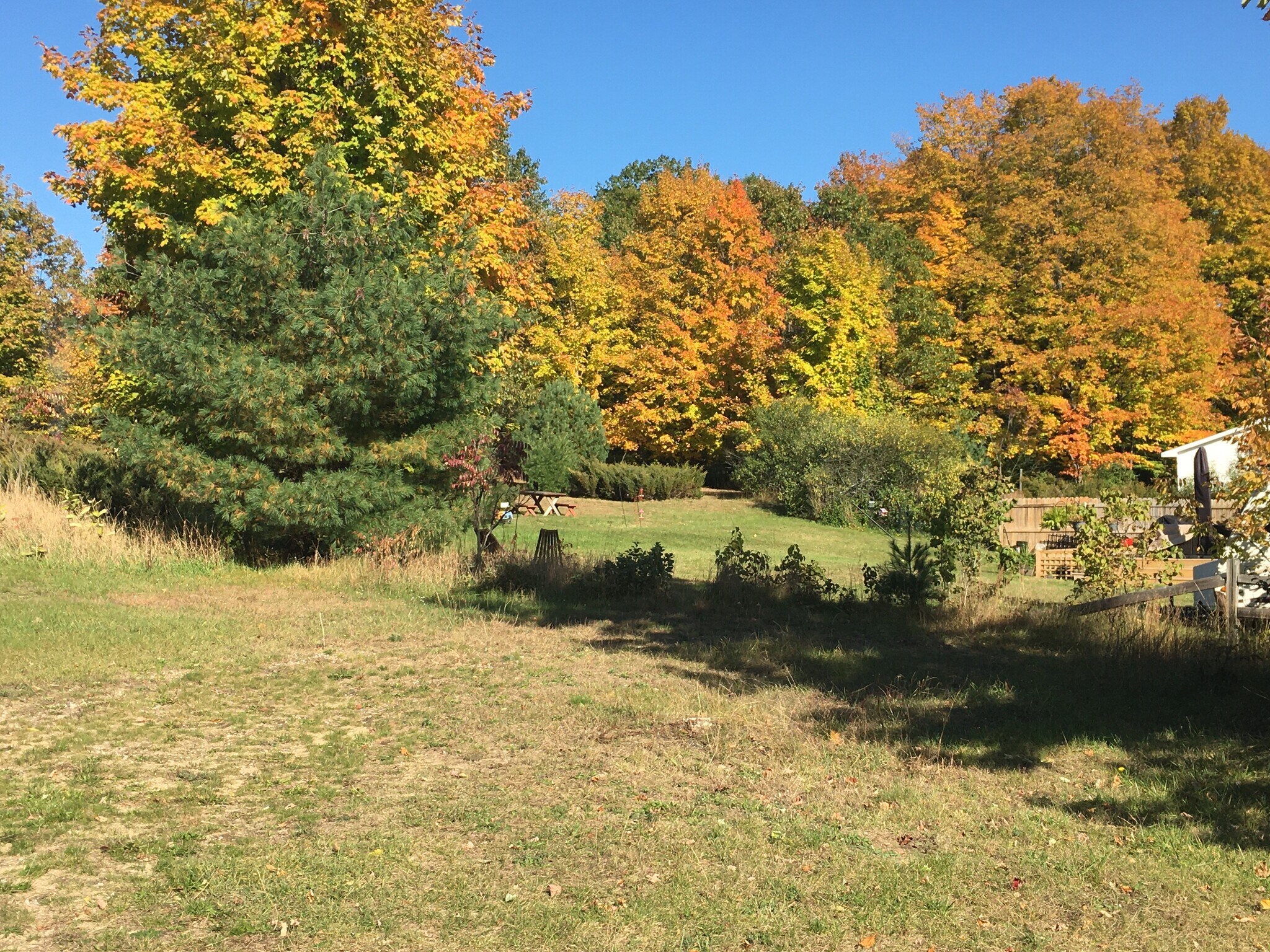 Building Photo - 3823 Leeside Ln