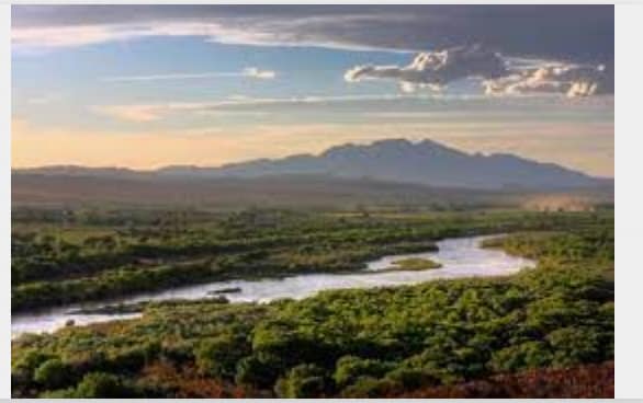 Building Photo - 10605 Pueblo Plz NW