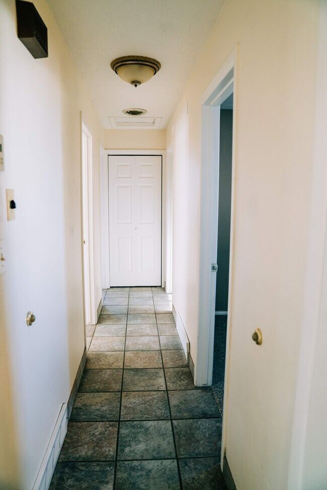 Building Photo - SMALL DOG FRIENDLY!!!  Meadow Street House