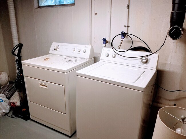 Basement- Laundry Room - 54373 Terrace Ln