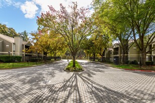 Building Photo - Harbor Oaks Apartments