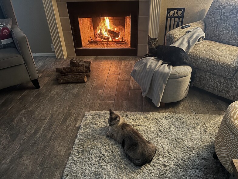 Back living room fireplace - 713 Spring Hollow Dr