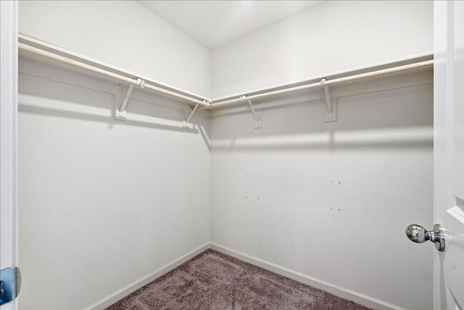 Building Photo - 3818 Fong Ranch Rd