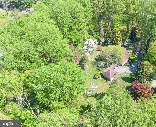 Building Photo - 501 Webb Rd