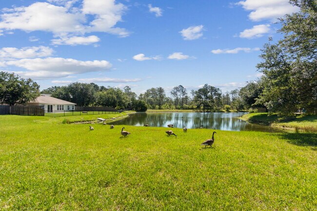 Building Photo - 12677 Pine Marsh Way