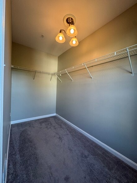 Closet for Bedroom #1 - 61 Harbour Heights Dr