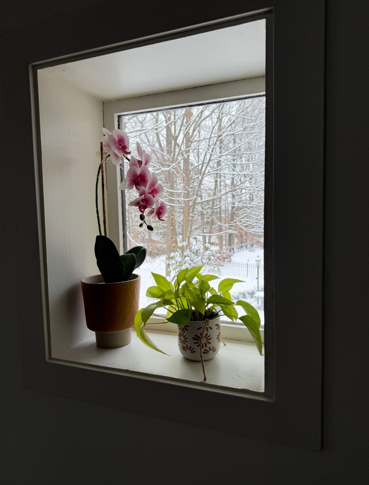 Building Photo - 3043 Wold Ave