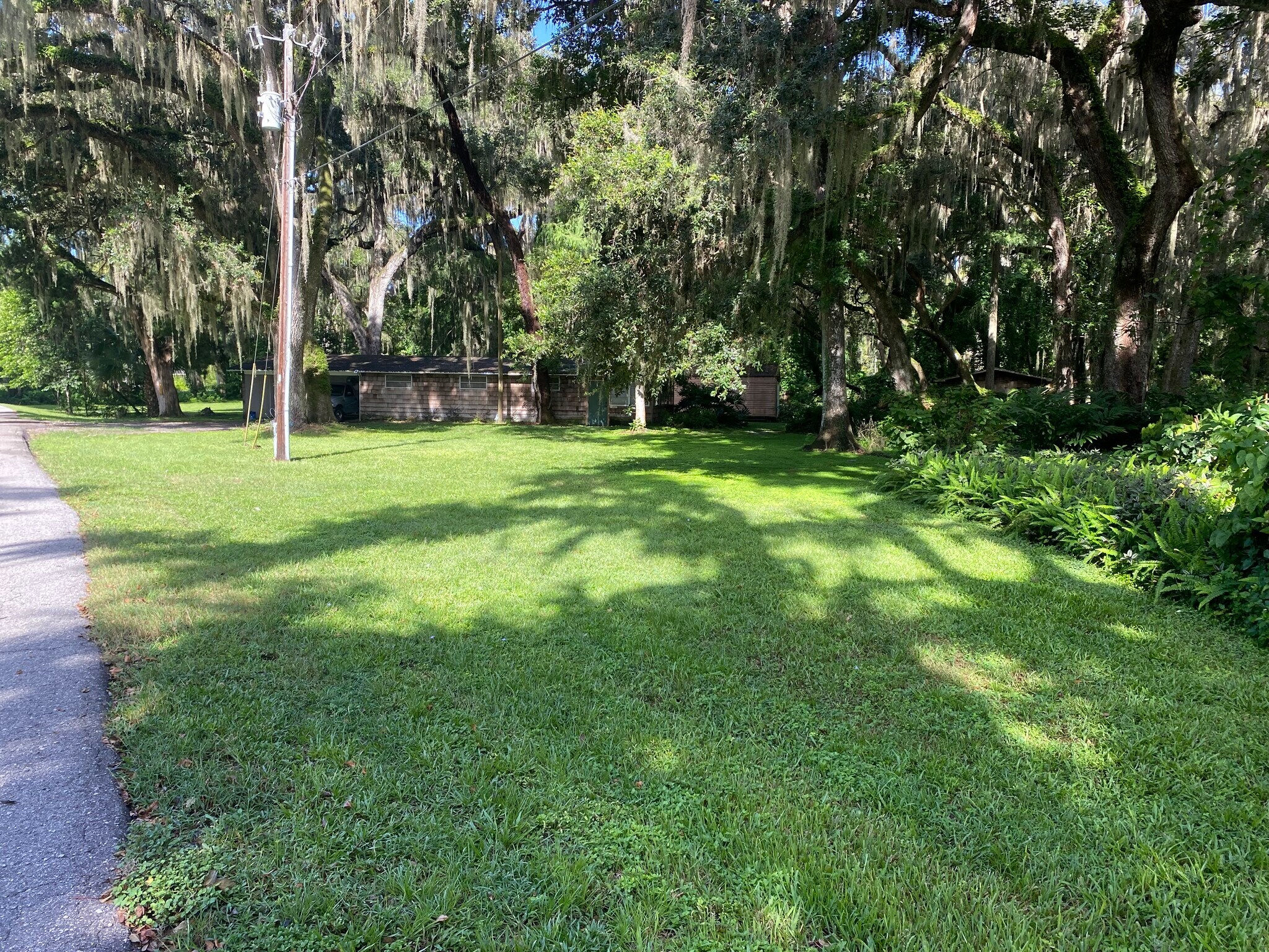 Front yard from street - 1816 Co Rd 432