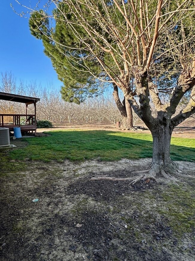 Building Photo - Country House Coming Soon!