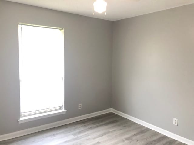 Building Photo - 1 Brandle Cove