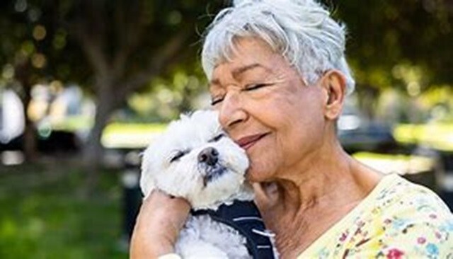 Building Photo - 802 N Main St