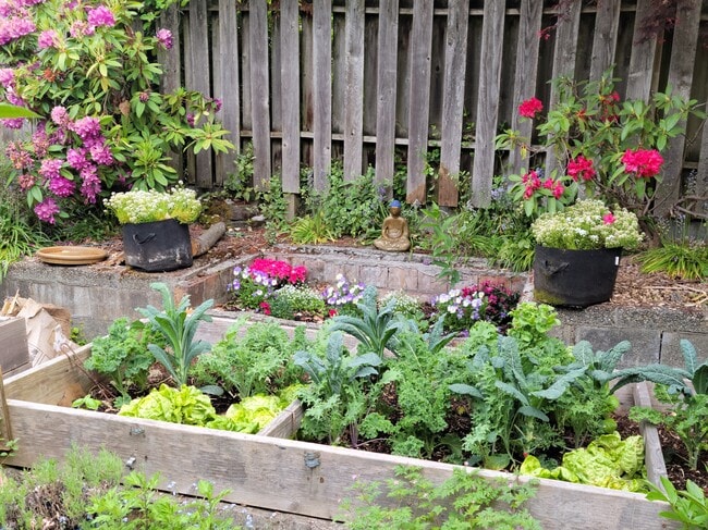 garden sanctuary - 2109 31st Ave S