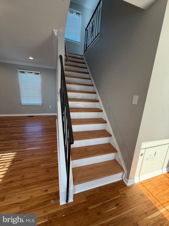 Building Photo - 4435 Cape Cod Cir