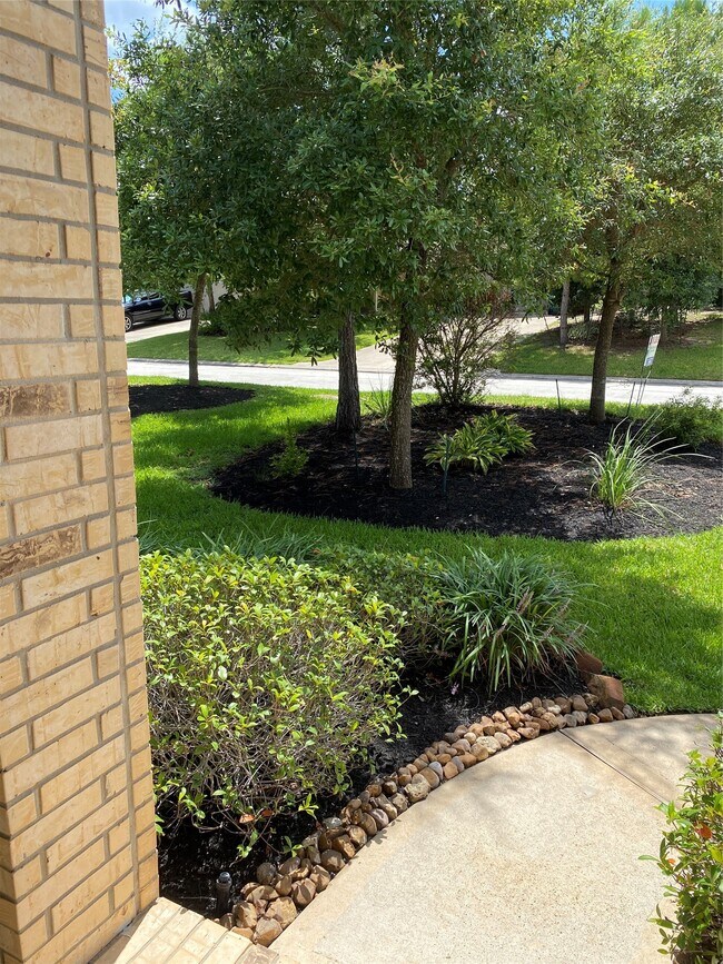 Building Photo - 42 Black Swan Ct
