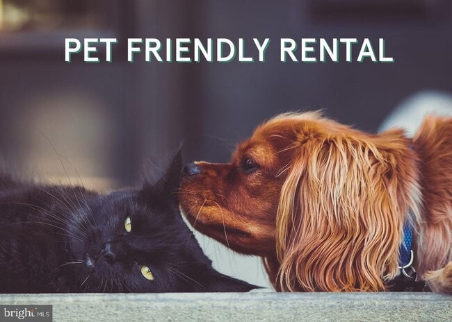 Building Photo - 500 M St NW