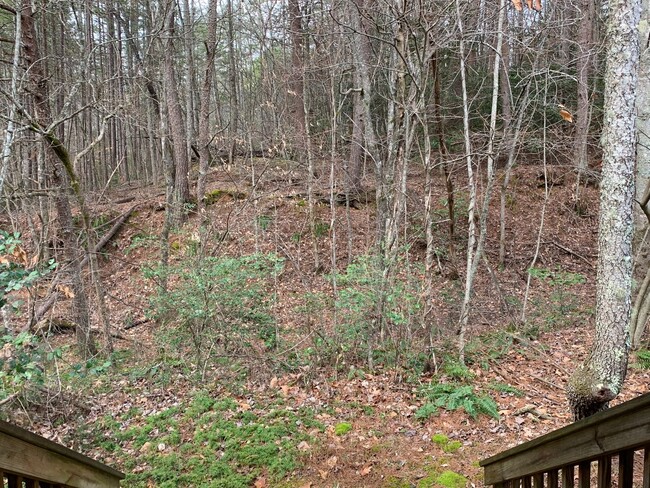 Building Photo - Blairsville Rental - Open House Sat. March...