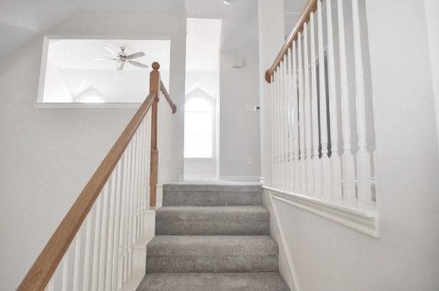 Building Photo - 521 Mustang Ridge Dr