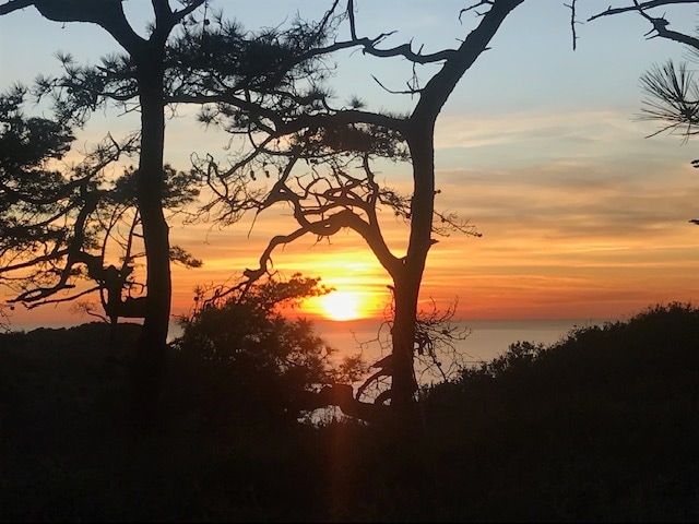 Building Photo - 14073 Mira Montana Dr