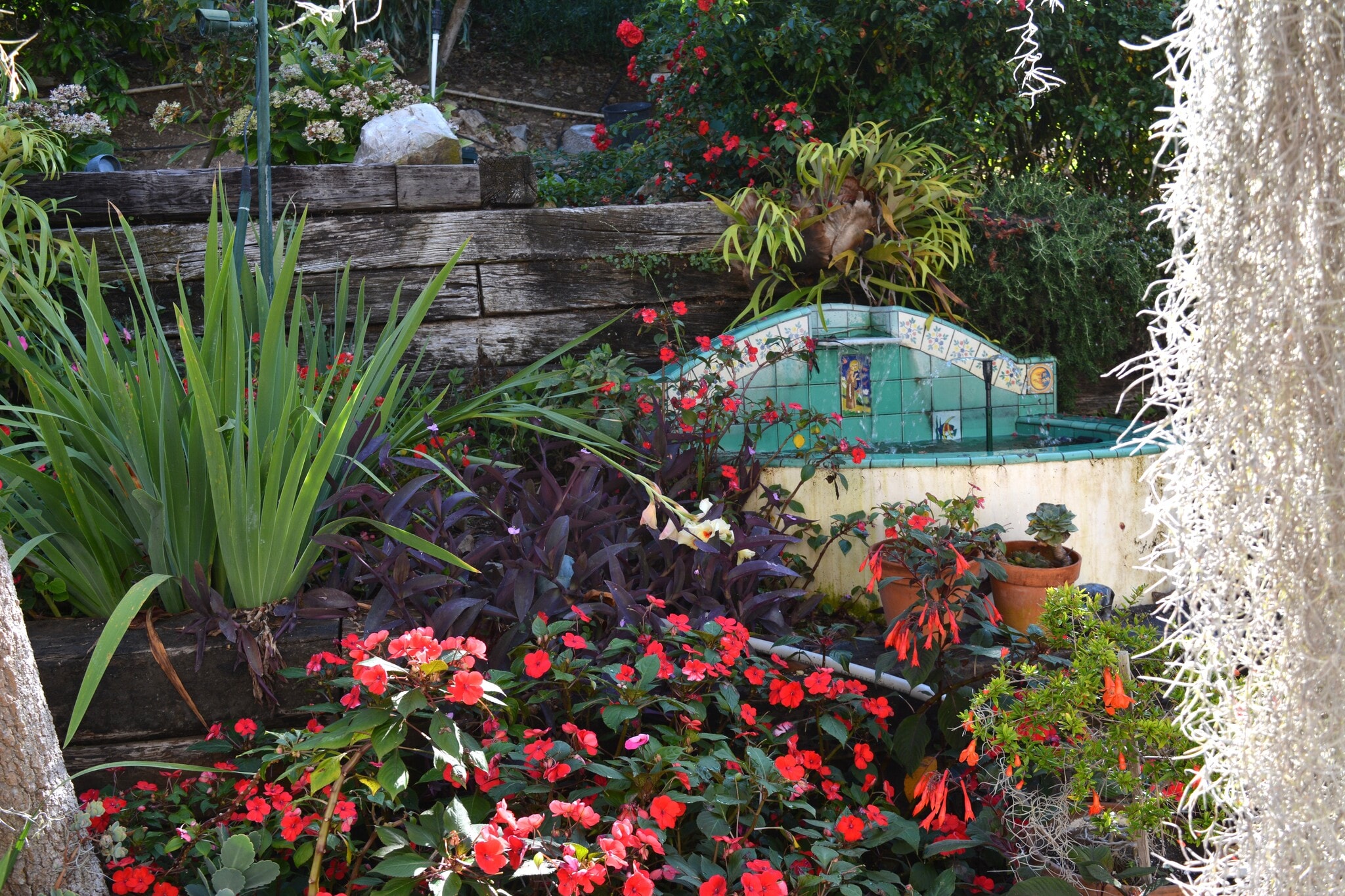 Building Photo - 32415 Aqua Vista Dr