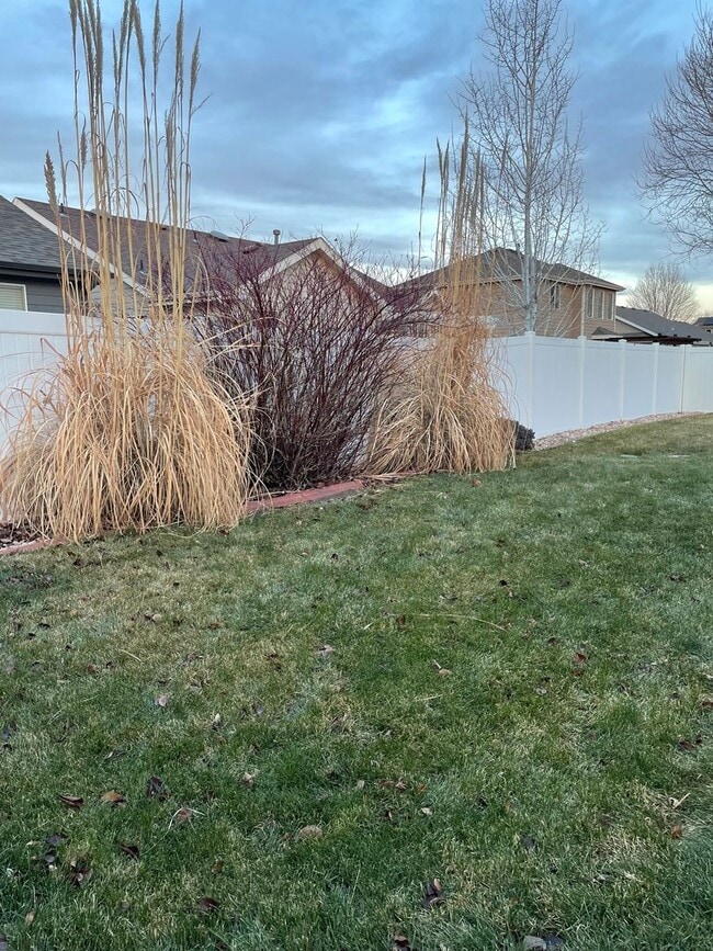 Building Photo - Spacious 4-Bedroom / 3-Bath Single Family Home in Windsor!