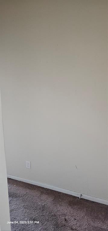 Building Photo - 335 American Black Bear