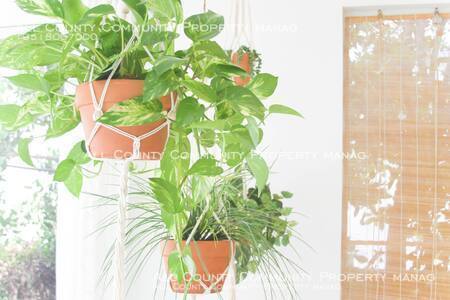 Building Photo - FULLY FURNISHED 3BED 2 BA HOUSE ON SCGA GO...