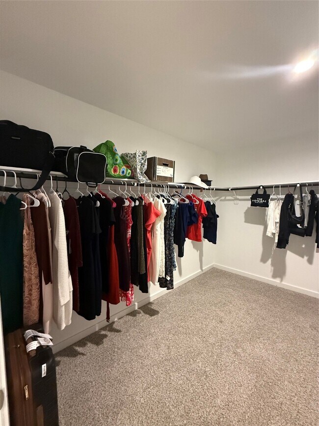 Building Photo - 1119 Fringed Bluestar Dr