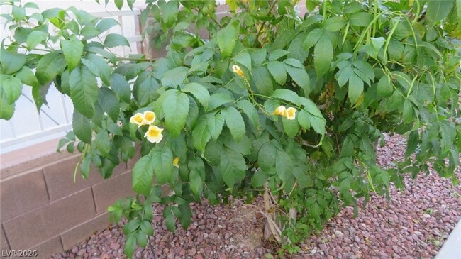 Building Photo - 3014 Sunrise Bay Ave