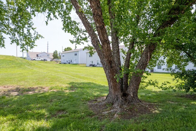 Building Photo - 3504-3506 Delmar Ct.
