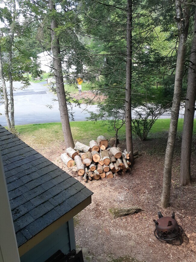 View on the street from master suite - 20 Elizabeth Way