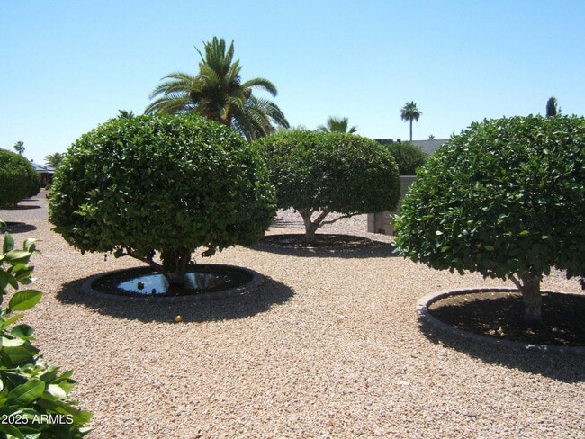 Building Photo - 18002 N 135th Dr