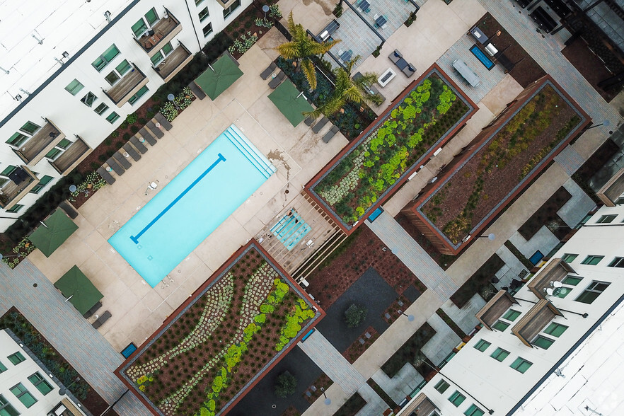 Pool Deck - Aerial View - The Union Flats