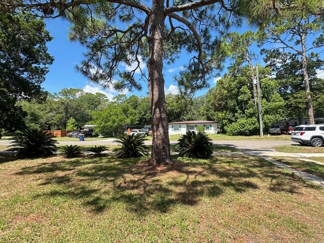 Building Photo - On Island, Close to Historic District & Be...