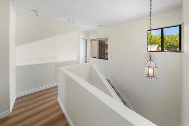 Building Photo - 3617 Fallon Cir