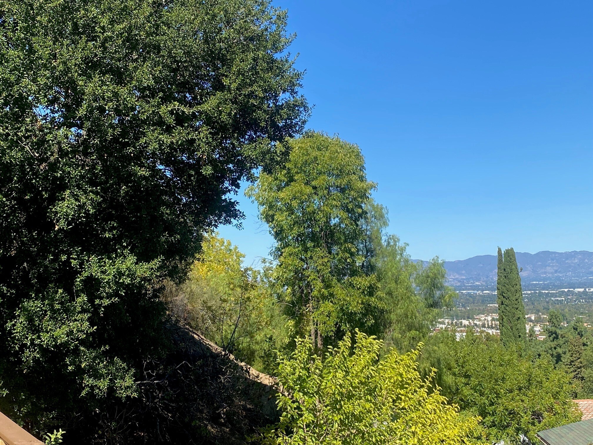 Building Photo - 4421 Grimes Pl