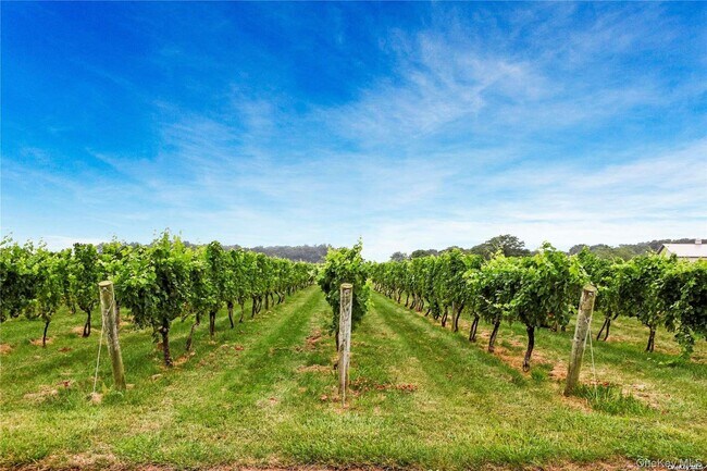 Building Photo - 40 Stirling Cove