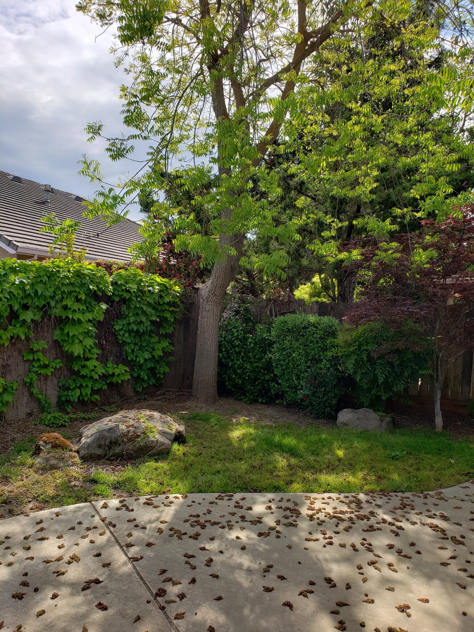 Building Photo - 2054 Pinehurst Ct
