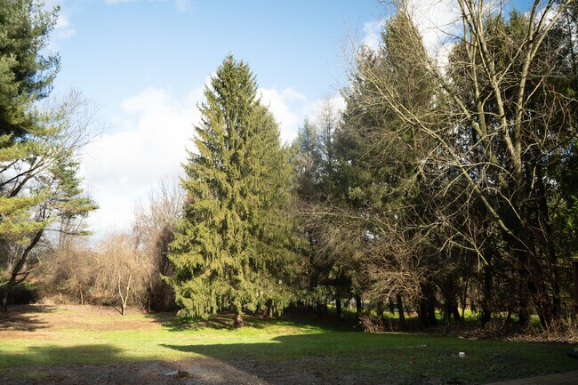 Primary Photo - 197 Mercer Mill Rd