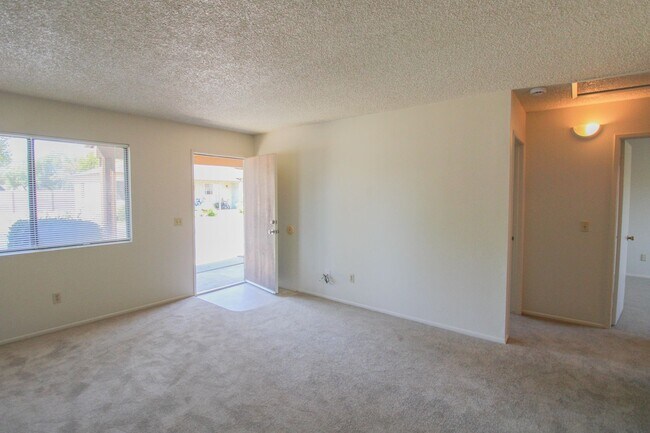 Building Photo - Updated, 2 bedroom, 1 bath apartment tucke...