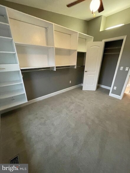 Building Photo - 8012 Merry Oaks Ct